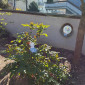 Bild Ostern 1
