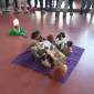 Ostern 1
