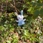 Bild Ostern 4